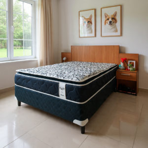Sommier Neo Plus + Cabecera Francia (en 5 tamaños)
